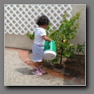 [Click to enlarge image]